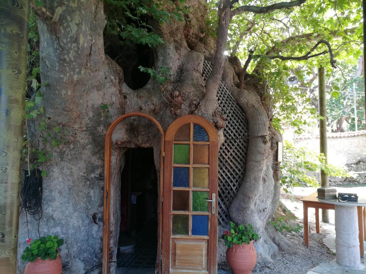 Willa Plataniotissa Mansion Kalawrita Zewnętrze zdjęcie